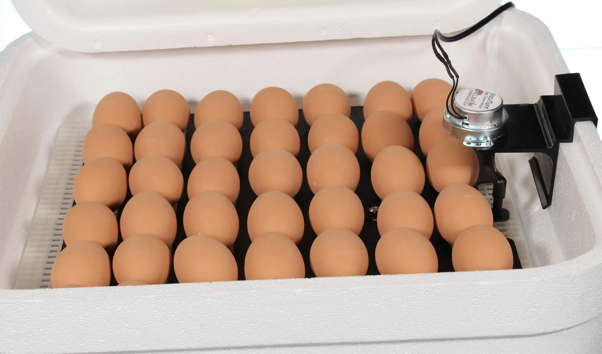 Hova Bator Genesis 1588 Digital Egg Incubator & Brooder Ultimate Combo Kit