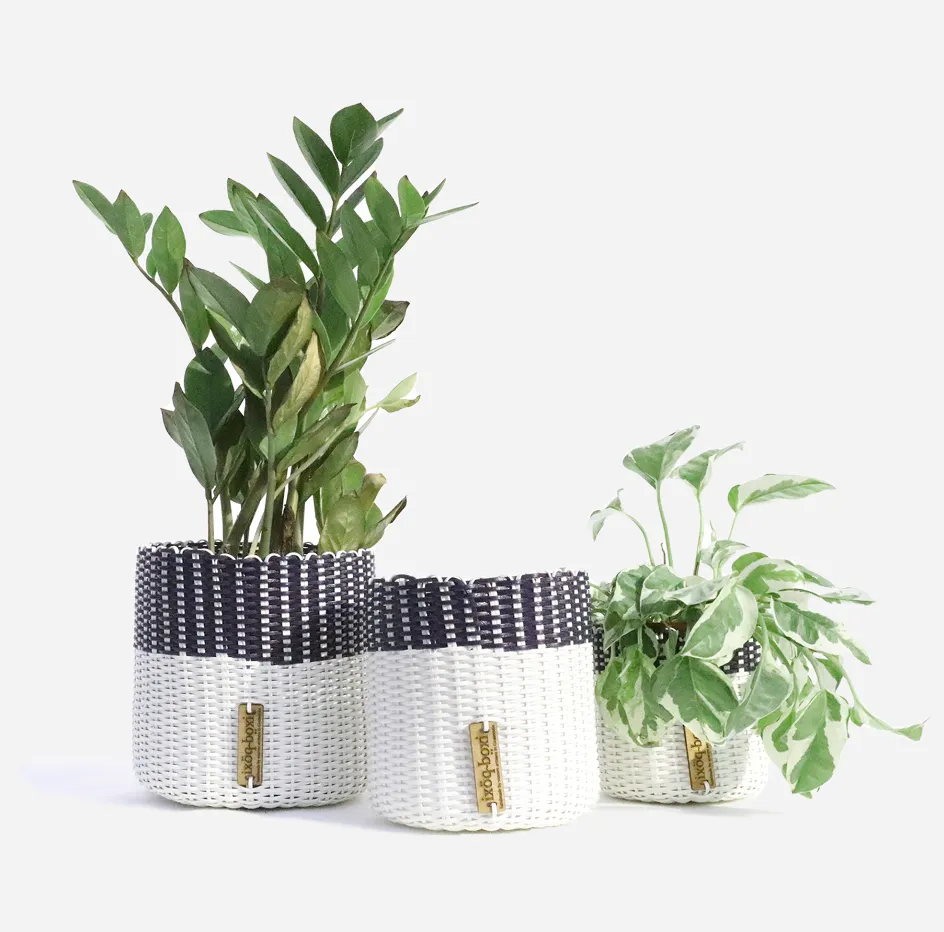 IXOQ Boxi recycled plastic container - planter (SOLD THRU J.CREW)