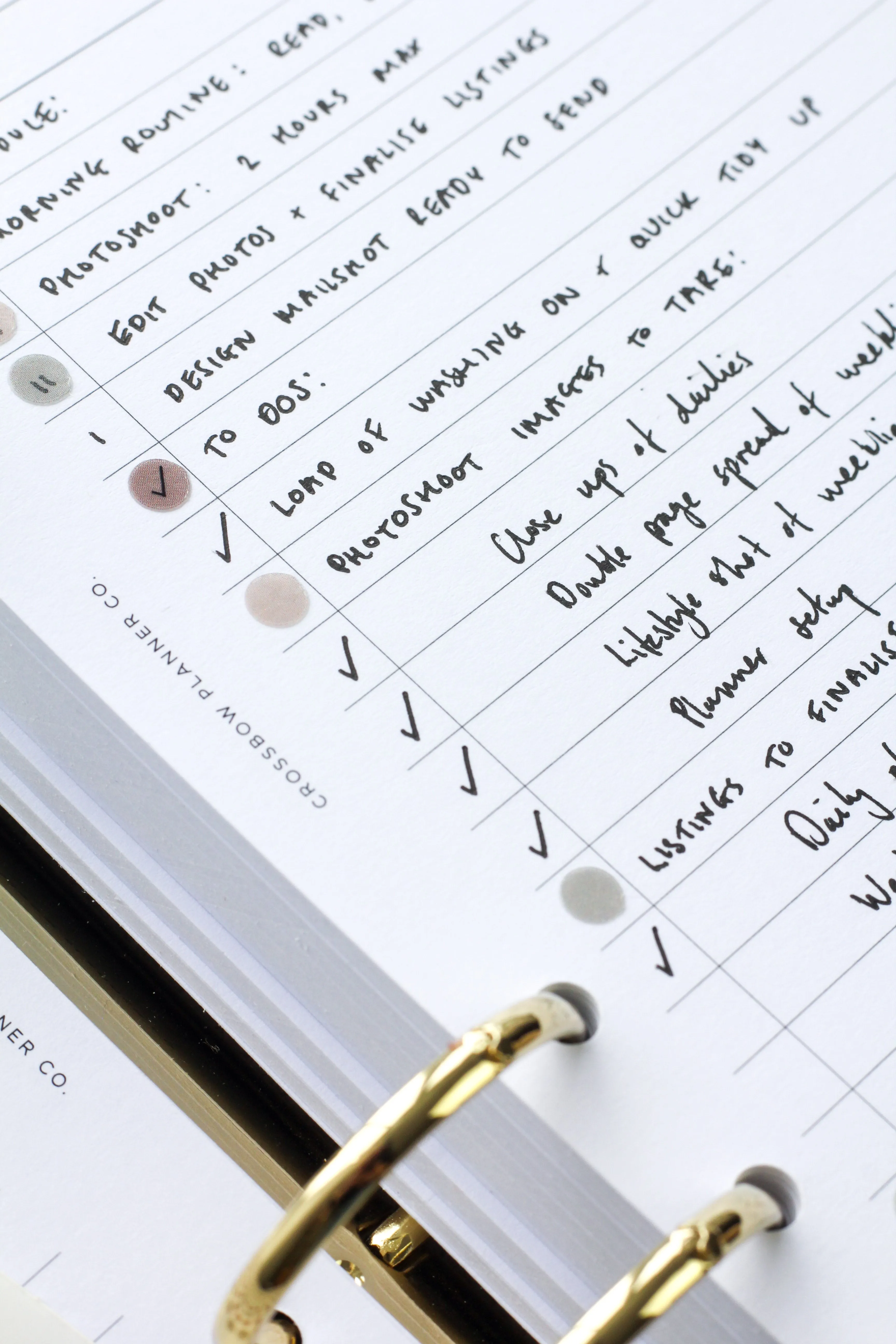 Neutral Dot & Tasks | Transparent Planner Stickers