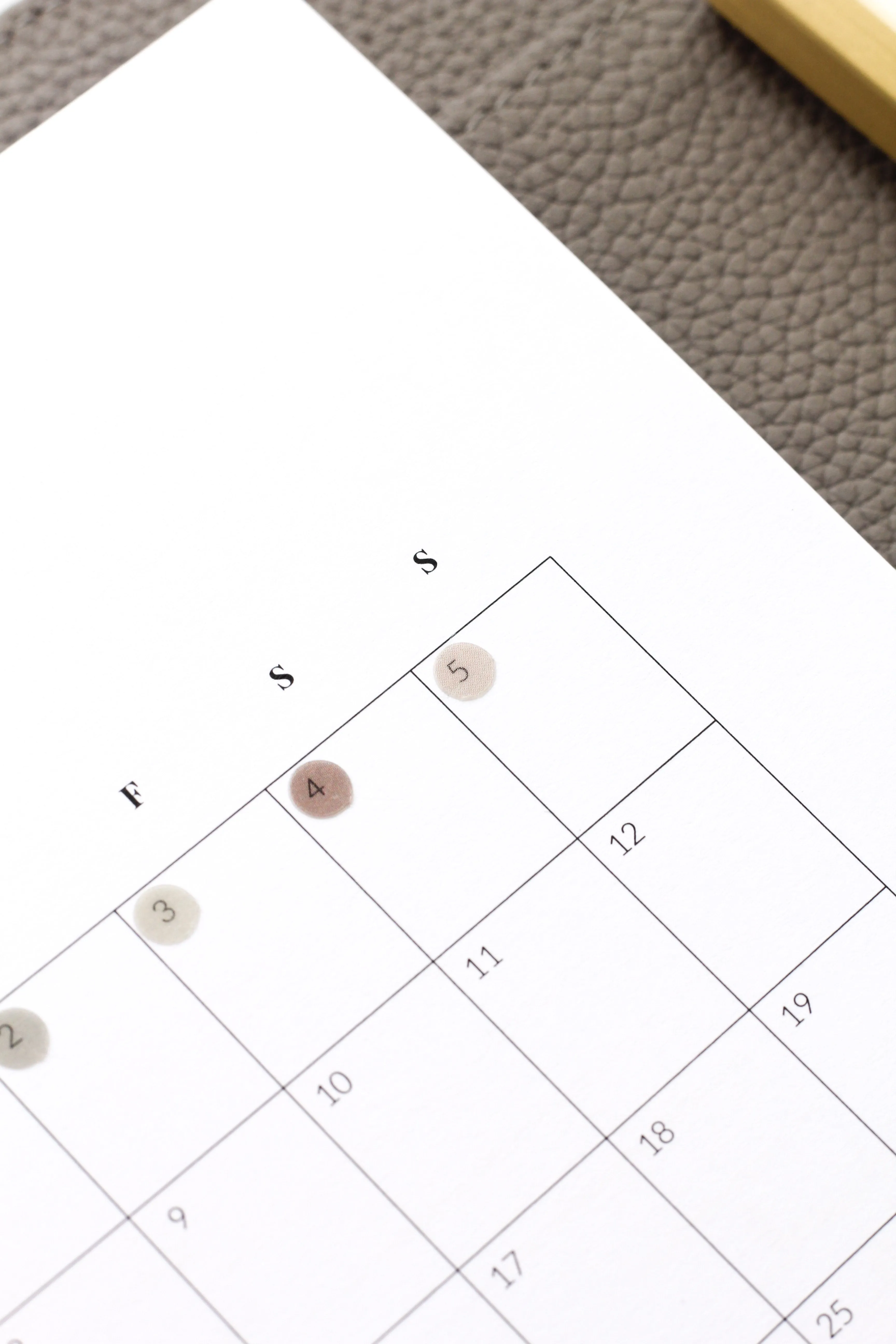 Neutral Dot & Tasks | Transparent Planner Stickers