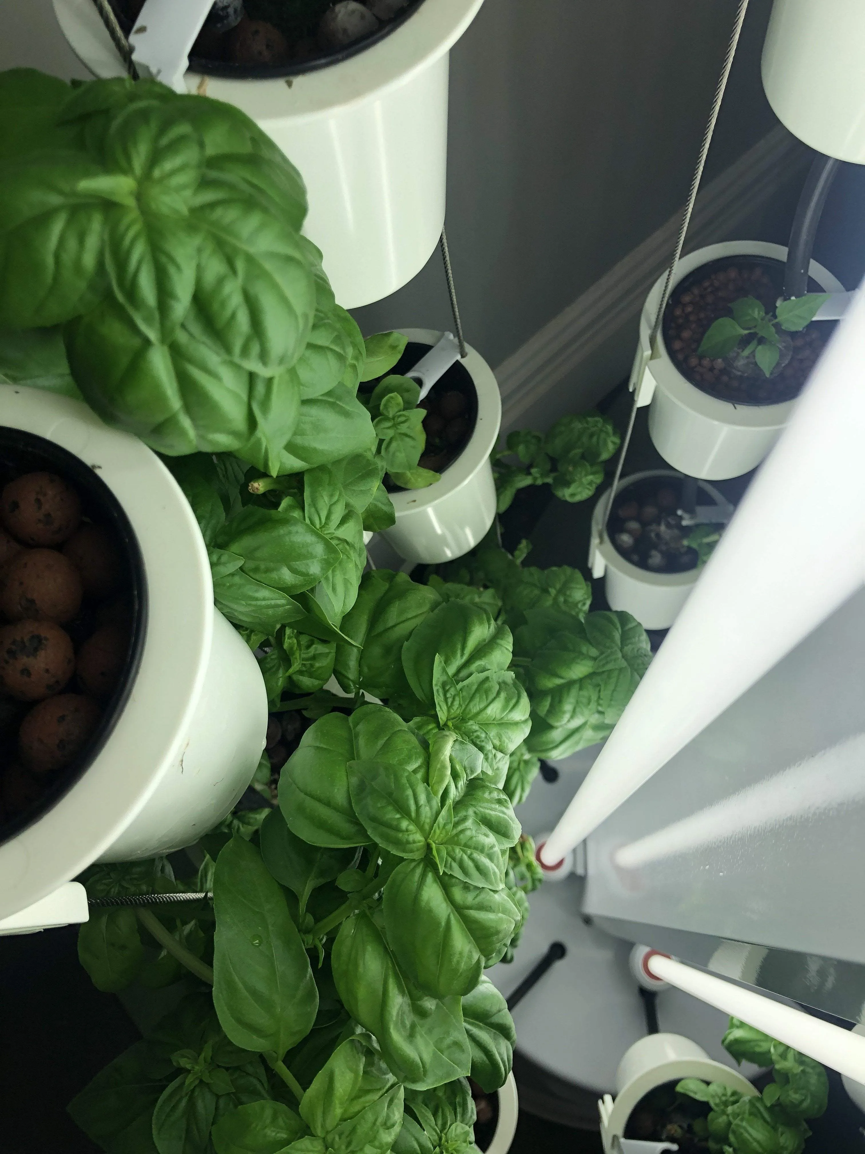 Nutritower Vertical Hydroponic Indoor Garden