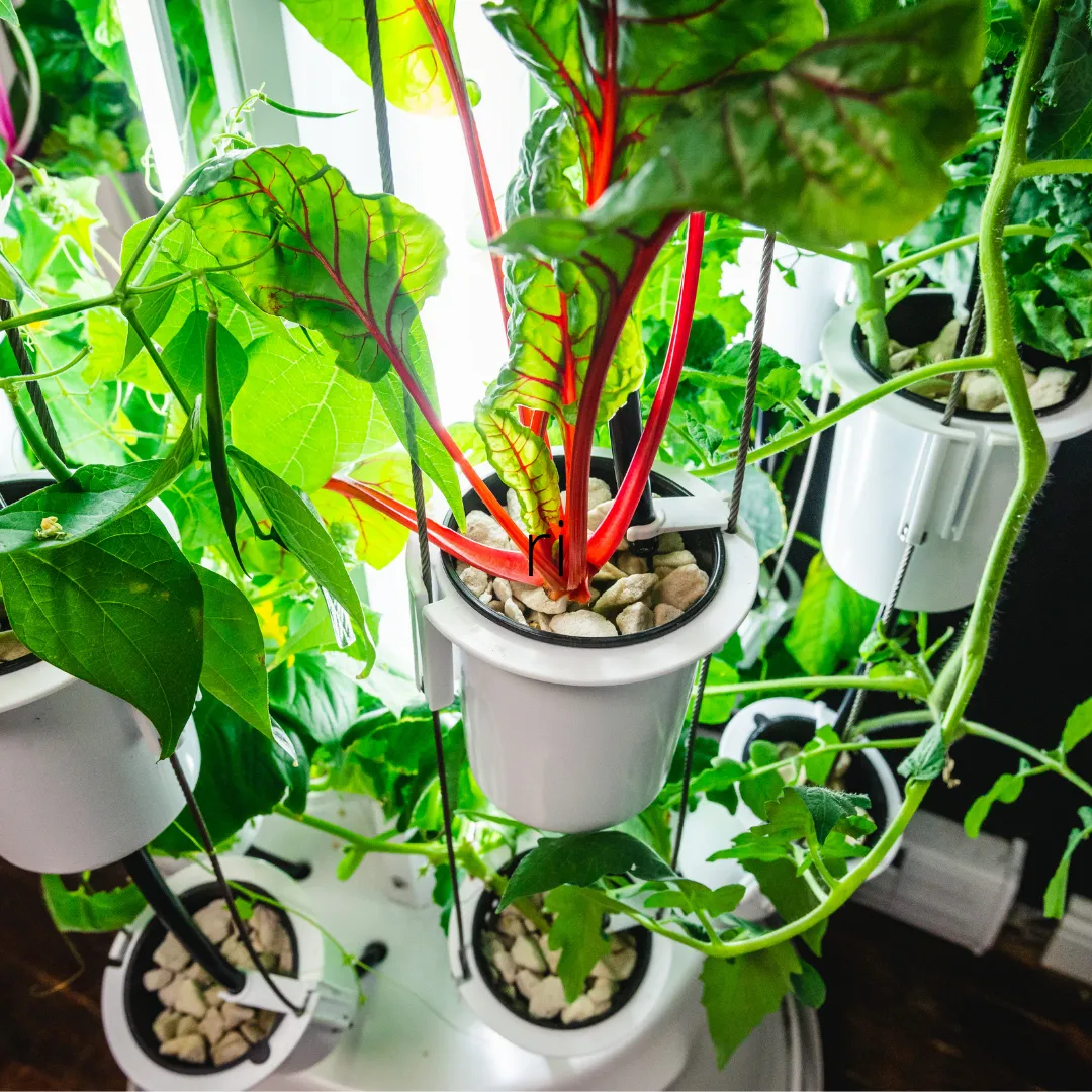 Nutritower Vertical Hydroponic Indoor Garden