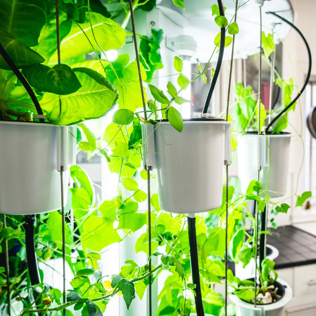 Nutritower Vertical Hydroponic Indoor Garden