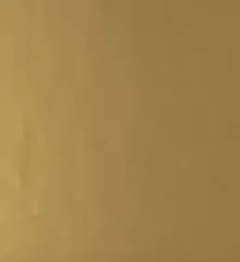 Plain Recycled Gold Counter Roll