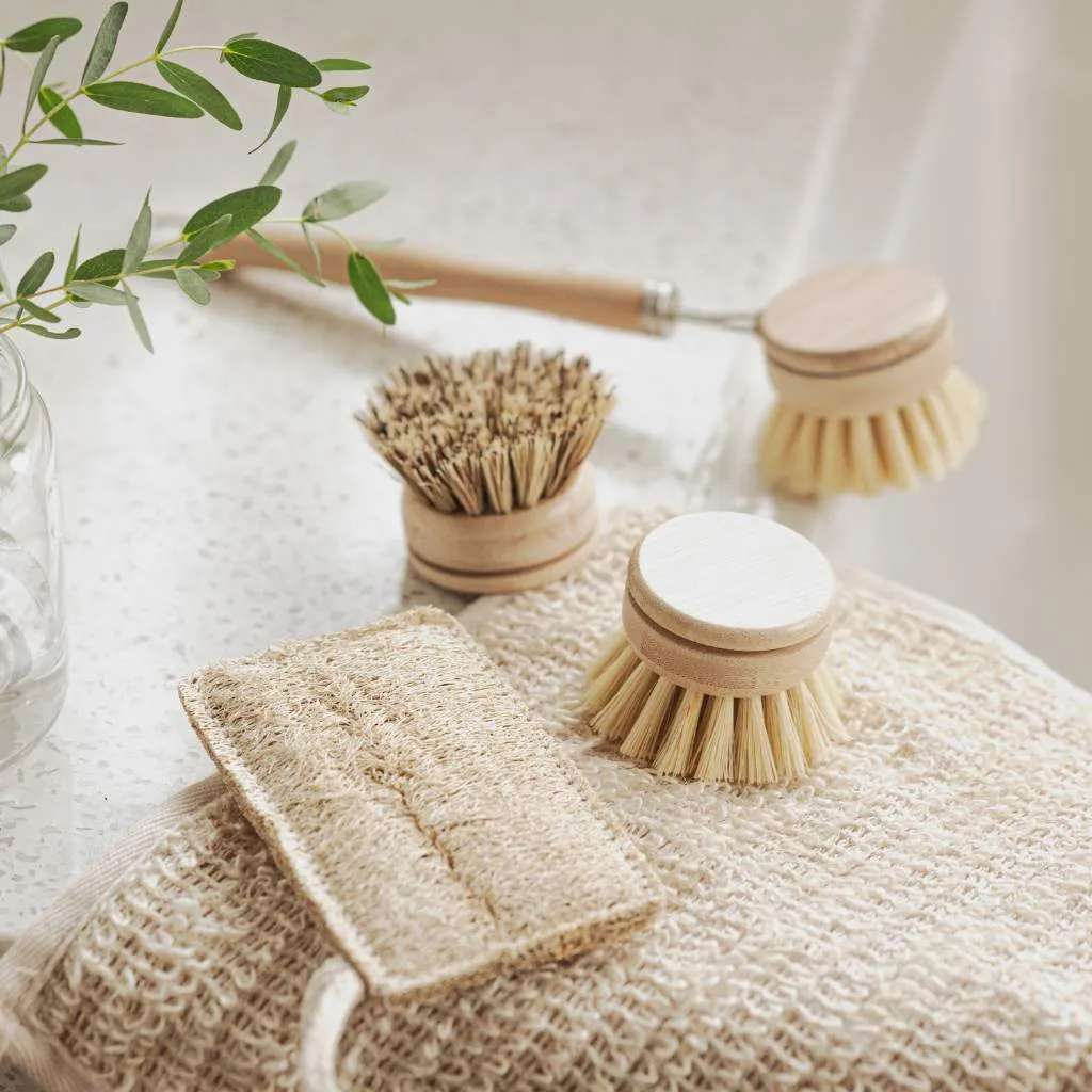 Sustainable Dish Brushes | 4 Piece Starter Set w/ Loofah Sponge
