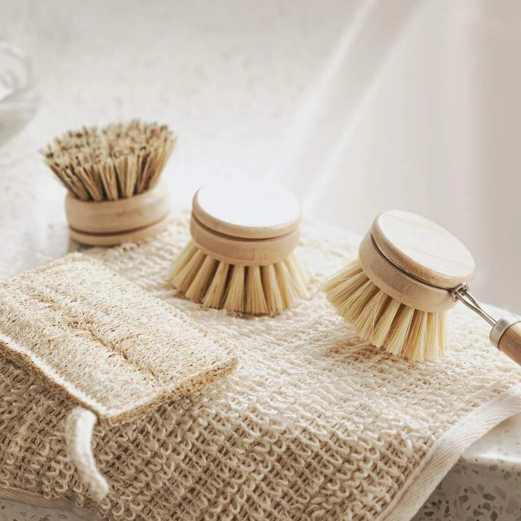 Sustainable Dish Brushes | 4 Piece Starter Set w/ Loofah Sponge