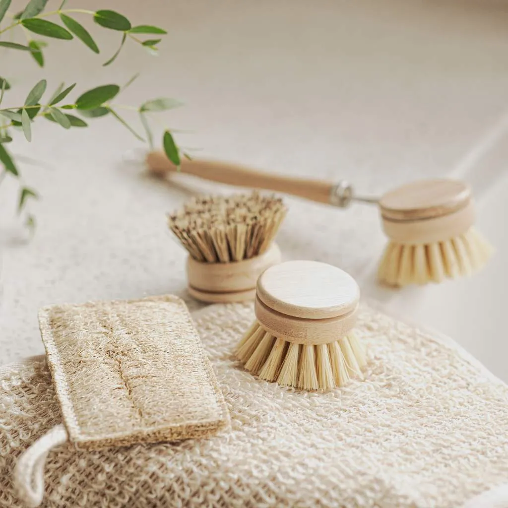Sustainable Dish Brushes | 4 Piece Starter Set w/ Loofah Sponge